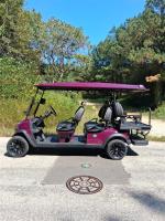 2025 Venom Ev Strike 6 Pic 2892_V202510091848143 2025 Venom Ev Strike 6 Pic 2892_V202510091848143