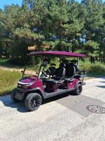 2025 Venom Ev Strike 6 Pic 2892_V20251009185336 2025 Venom Ev Strike 6 Pic 2892_V20251009185336