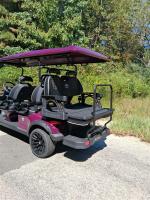 2025 Venom Ev Strike 6 Pic 2892_V202510091853365 2025 Venom Ev Strike 6 Pic 2892_V202510091853365