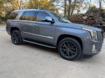 2020 Cadillac Escalade Pic 2894_V202511201621192