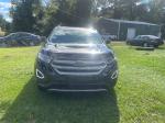 2018 Ford Edge Pic 2902_V202510131454202