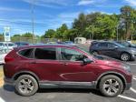 2019 Honda Cr-V Pic 2921_V2026050812210011