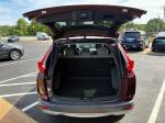 2019 Honda Cr-V Pic 2921_V2026050812210022