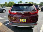 2019 Honda Cr-V Pic 2921_V202605081221007
