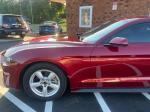 2019 Ford Mustang Pic 2921_V202605111836582