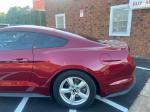2019 Ford Mustang Pic 2921_V202605111836583