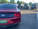 2019 Ford Mustang Pic 2921_V202605111836587