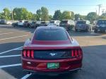 2019 Ford Mustang Pic 2921_V202605111836588