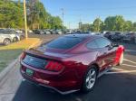 2019 Ford Mustang Pic 2921_V202605111836589