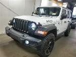 2021 Jeep Wrangler Pic 2921_V20260513115657