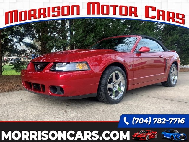 Picture of a 2004 Ford Mustang SVT Cobra Convertible