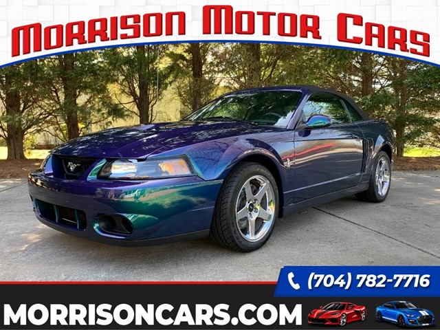 Picture of a 2004 Ford Mustang SVT Cobra Convertible