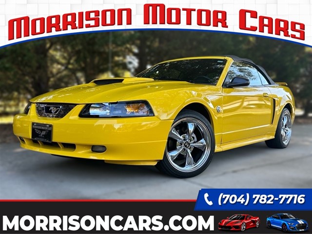 Picture of a 2004 Ford Mustang GT Premium