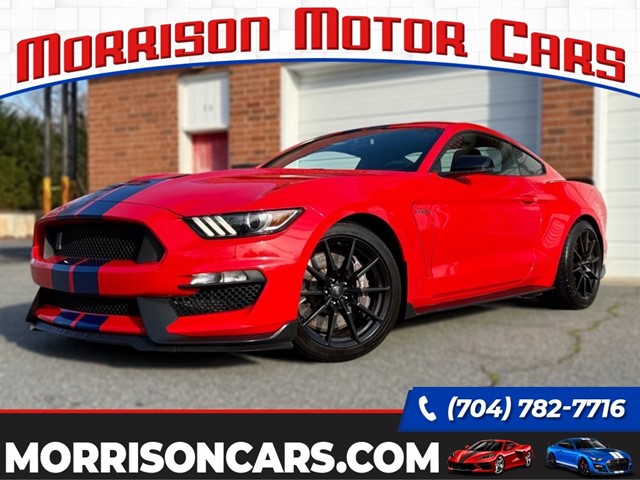 Ford Shelby GT350 Coupe in Concord