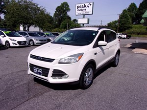 2014 Ford Escape SE 4WD for sale by dealer