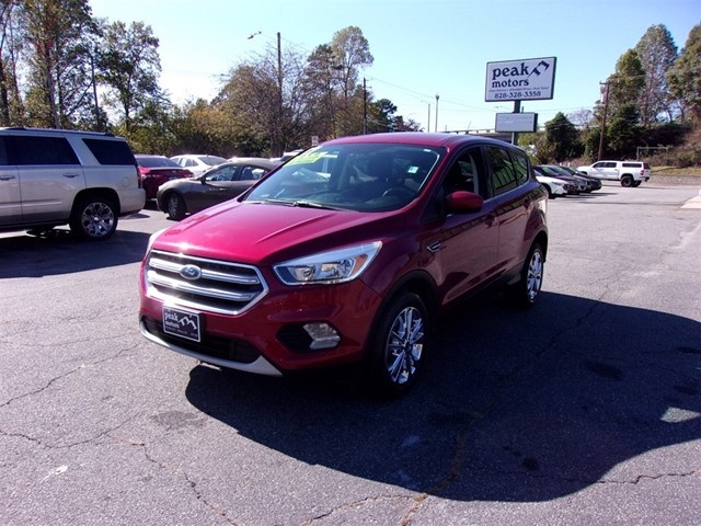 Ford Escape SE 4WD in Hickory