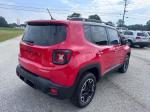 2015 Jeep Renegade Pic 65_V2025062014014800582