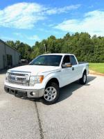 2014 Ford F-150 Pic 65_V202508090330170000