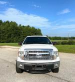 2014 Ford F-150 Pic 65_V2025080903301700008