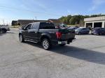 2016 Ford F-150 Pic 65_V2026040203300300016