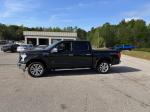 2016 Ford F-150 Pic 65_V2026040203300300018