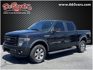 Picture of a 2014 Ford F-150 FX4