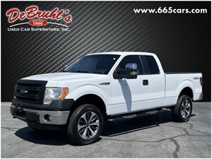 Picture of a 2014 Ford F-150 XL