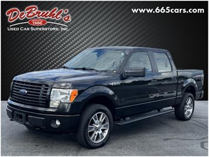 Picture of a 2014 Ford F-150 STX