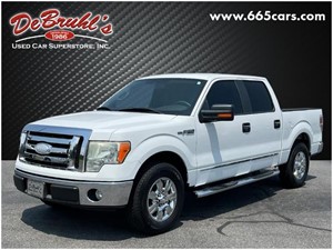 Picture of a 2009 Ford F-150