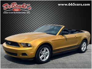 Picture of a 2010 Ford Mustang V6