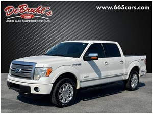 Picture of a 2011 Ford F-150