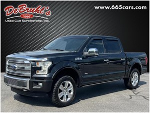 Picture of a 2015 Ford F-150 Platinum