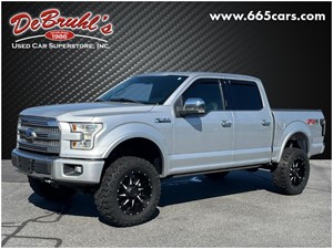 Picture of a 2015 Ford F-150 Platinum