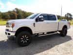 2019 Ford F250 Super Duty Pic 691_V2024092414450115