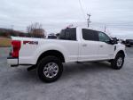 2019 Ford F250 Super Duty Pic 691_V202501061213529