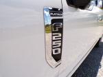 2022 Ford F250 Super Duty Pic 691_V2025042414373319