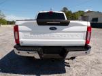 2020 Ford F250 Super Duty Pic 691_V202504241501459