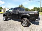 2013 Ford F150 Pic 691_V202505161002162