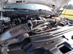 2020 Ford F350 Super Duty Pic 691_V2025052310413818