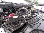 2020 Ford F250 Super Duty Pic 691_V2025052908442422