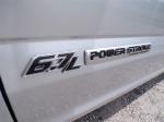 2019 Ford F250 Super Duty Pic 691_V2025060511083918