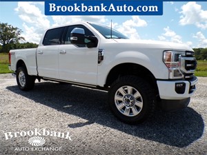 2021 FORD F250 SUPER DUTY PLATINUM for sale by dealer