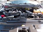 2019 Ford F350 Super Duty Pic 691_V202507100932273