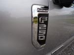 2021 Ford F250 Super Duty Pic 691_V2025071009502718