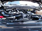 2019 Ford F350 Super Duty Pic 691_V202507101639333
