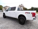 2017 Ford F150 Pic 691_V202507170954102