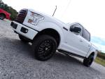 2017 Ford F150 Pic 691_V2025071709541033