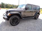 2020 Jeep Wrangler Pic 691_V2025082113100114