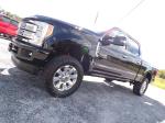 2017 Ford F250 Super Duty Pic 691_V2025091211242138