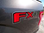 2017 Ford F150 Pic 691_V2025100709104018